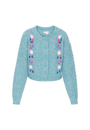 Gekürzter, hellblauer Cardigan mit Kabelstrickmuster, verziert mit floraler Stickerei in Pink, Lila und Orange. Sechs Knöpfe auf der Vorderseite.