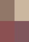 Colore (1)