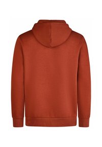 Hooded sweatshirt in rust color, made of soft fabric. Features a kangaroo pocket and ribbed cuffs, with a smooth texture and relaxed fit.