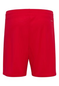 Rote Sportshorts aus leichtem, atmungsaktivem Stoff mit glatter Textur. Mit einem elastischen Bund und minimalistischer Gestaltung.