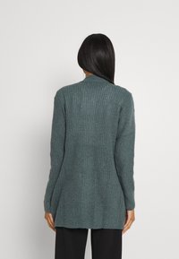 Žena s dlouhými tmavými vlasy, oblečená v dlouhém, žebrovaném, teal pleteném svetru a černých kalhotách, stojí zády k bílému pozadí.