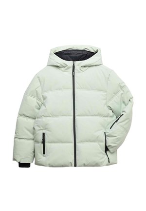 PADDED  - Vinterjakker - green