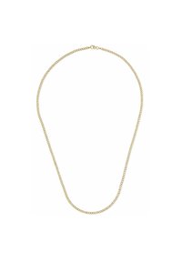 Collana in metallo dorato con un design semplice a maglie rotonde, dotata di chiusura a gancio e superficie liscia e lucida.