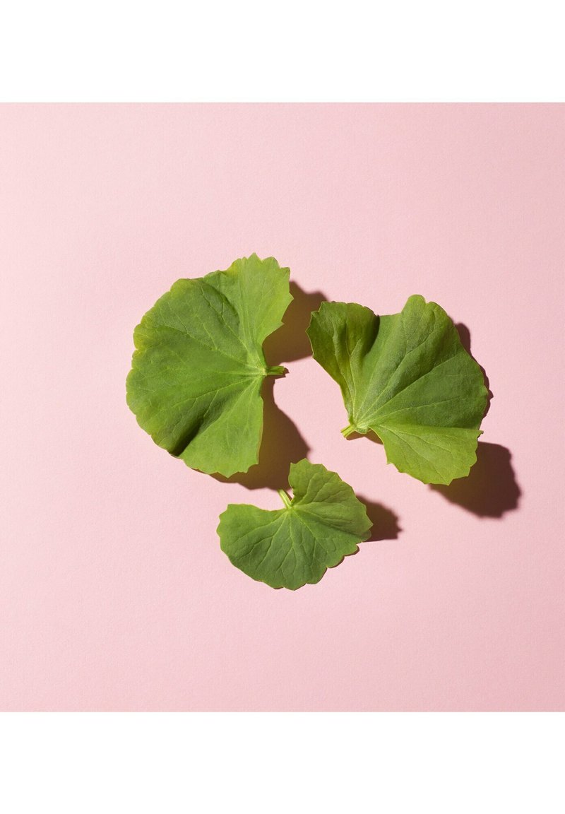 Damen Teint | Erborian CC DULL CORRECT À LA CENTELLA ASIATICA CC Cream - TY67679 Damen Teint | Erborian CC DULL CORRECT À LA CENTELLA ASIATICA CC Cream - TY67679