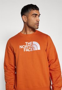 The North Face M DREW PEAK REGULAR CREW - Mikina - earthen copper