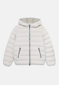 Nepasirinkta, blade/frozen