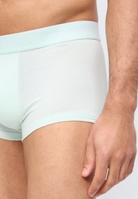 Ανδρικός κορμός και άνω μηρός με ελαφρώς πράσινα μποξεράκια Calvin Klein, με ορατό λογότυπο στη ζώνη και χαλαρό δεξί χέρι δίπλα στον μηρό.