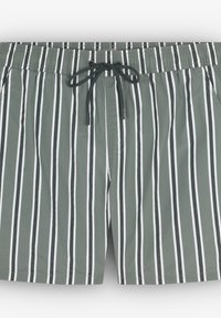 Maillots de bain à rayures vertes avec un motif de fines rayures blanches, taille élastique, fermeture à cordon de serrage et poches latérales. Tissu lisse et léger.