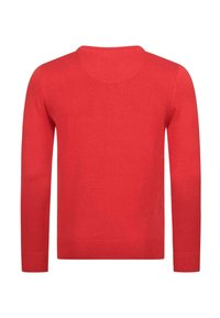 Roter Pullover mit langen Ärmeln aus Strick, Rundhalsausschnitt sowie gerippten Bündchen an Ärmeln und Saum, von hinten auf weißem Hintergrund gezeigt.