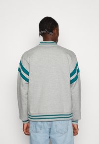 Gray sweatshirt jacket with teal stripes on sleeves and bottom hem, featuring a ribbed collar and relaxed fit. Back view displayed.