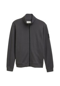 MIT STEHKRAGEN - Felpa con zip - ash grey