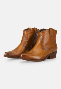 Stivali ankle in pelle marrone con punta affusolata, cuciture decorative, zip laterale e tacco basso impilato. Texture liscia e design classico.