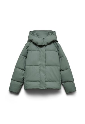 Grøn dunjakke med en bred hætte, kendetegnet ved en boxy form, quiltet tekstur og en lynlåslukning foran. Ingen synligt metal eller mønstre.
