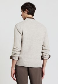 Helles graues Strickpullover mit geripptem Saum und Bündchen, der einen braunen Kragen zeigt, der darunter hervorschaut. Weiche Textur, lockere Passform.