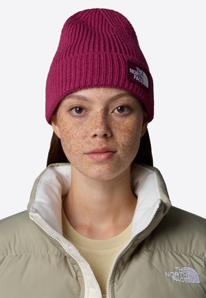 TNF LOGO BOX CUFFED  - Beanie - cyber berry boysenberry