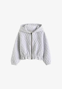 Non selezionato, grey