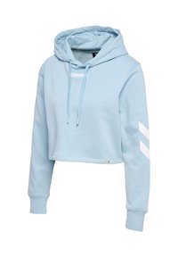 Hellblauer kurzer Hoodie mit langen Ärmeln, vorderen Kordeln, weißem Markenlogo auf der Brust und weißen Chevron-Streifen am linken Ärmel.