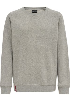 Grijze sweatshirt van fleece, met een ronde hals, raglanmouwen en een klein rood logo op de onderrand. Zachte textuur, casual pasvorm.