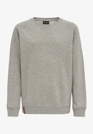 Grauer Fleece-Hoodie mit Rundhalsausschnitt, Raglanärmeln und kleinem rotem Logo am Saum. Weiche Textur, lässige Passform.