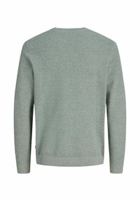 Pull en tricot vert clair à manches longues avec un col rond, vu de dos sur fond blanc.