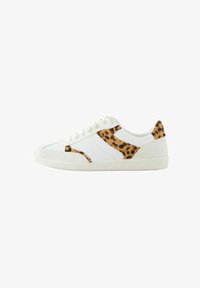 Unselected, new white leopard