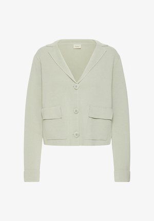 Gaiši zaļa kardigāns no strukturētas auduma. Aprīkots ar izgrieztu apkakli, četriem pogām un divām priekšējām kabatām. Īss garums.
