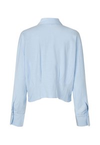 Blouse bleu clair à manches longues avec un col, des poignets boutonnés et un ourlet légèrement raccourci, vue de dos sur fond blanc.