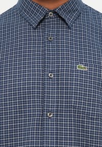 Camicia a maniche lunghe a quadretti blu e bianchi con collo classico, placca dei bottoni visibile e un piccolo logo di coccodrillo verde sulla tasca.