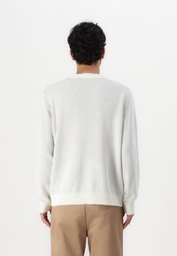 Hellgrauer Pullover mit strukturierter Oberfläche, runder Halslinie und gerippten Bündchen und Saum. Über beigefarbenen Hosen vor einem weißen Hintergrund getragen.
