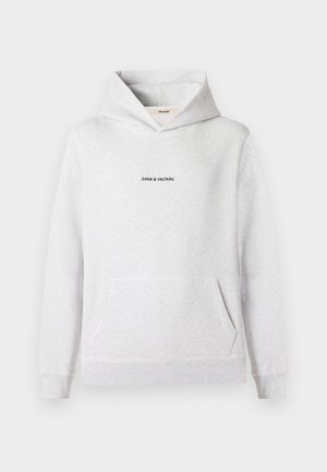 SANCHI PHOTO RIDE PATCH - Sweat à capuche - gris chine clai
