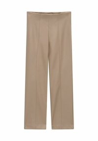 RORIKA - Stoffhose - taupe