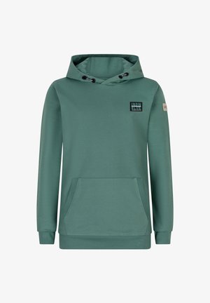 Groene sweatshirt met capuchon, voorzak en geribde manchetten. Kenmerkt zich door een vierkante logo patch op de borst en aantrekkoorden.