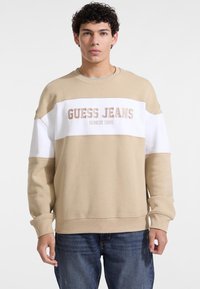 GJ CN OS HORIZONT STRIPE  - Felpa - braun