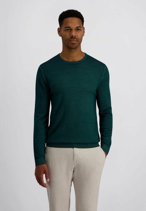 Grüner Pullover mit langen Ärmeln, rundem Ausschnitt und gerippten Bündchen, kombiniert mit hellen Leinenhosen. Glatte Textur, minimalistisches Design.