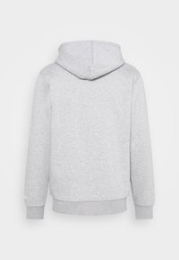 Ljust grå hoodie med en mjuk textur, med huva, långa ärmar och ribbad mudd och fåll. Inga synliga grafik eller mönster.