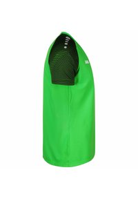 Groene sporttrui met korte zwarte gestreepte mouwen, met een effen ontwerp en het "JAKO"-logo in het wit op de voorkant.