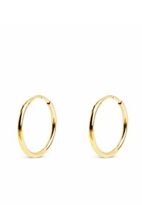 Orecchini a cerchio in oro con superficie liscia e lucida. Forma circolare, dotati di una chiusura a cerniera sicura, design leggero.