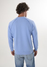 Felpa azzurra chiaro con scollo rotondo, maniche raglan e polsini a costine. Tessuto morbido con una superficie liscia e una vestibilità casual.