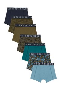 WE Fashion 7-PACK - Gaćice - multicoloured