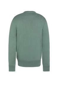Jasnozielony sweter knit z okrągłym dekoltem, długimi rękawami oraz ściągaczami na mankietach i dole. Gładka faktura, minimalistyczny design, pokazany widok z tyłu.