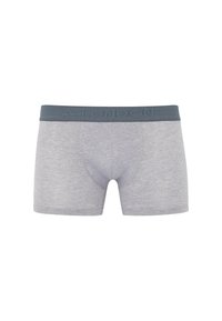 Gray boxer shorts with a soft texture and fitted design, featuring a dark gray elastic waistband with embossed branding.