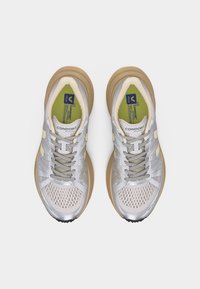 Ζευγάρι αθλητικά παπούτσια σε ασημί και μπεζ χρώμα με καφέ σόλες, γκρι κορδόνια, διαπνέον πλέγμα στη μύτη και ενθέματα με επωνυμία σε λευκό φόντο.