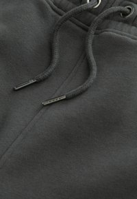 Next JOGGERS REGULAR FIT - Treniņtērpa apakšdaļas - slate grey
