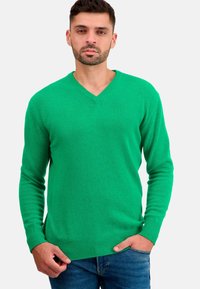Mahogany HIPPOLYTE - Pullover - new green