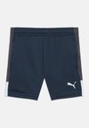 INDIVIDUALLIGA TRAINING UNISEX - Αθλητικό σορτς - mineral cobalt/icy blue/strong gray