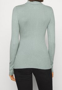 Pull à col roulé à manches longues en maille côtelée de couleur vert clair. Matière douce et extensible avec une coupe ajustée et un ourlet contrastant, associé à un pantalon noir.