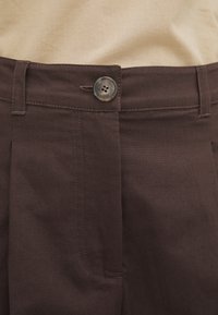 WEEKEND MaxMara Shorts - dark brown