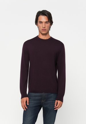 Young man wearing a dark purple crewneck sweater and blue jeans, standing against a plain white background.