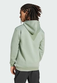 adidas Terrex MT L LOGO - Luvtröja - silver green