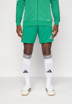 TIRO26 LEAGUE SHORTS - Spordišortsid - team green/white